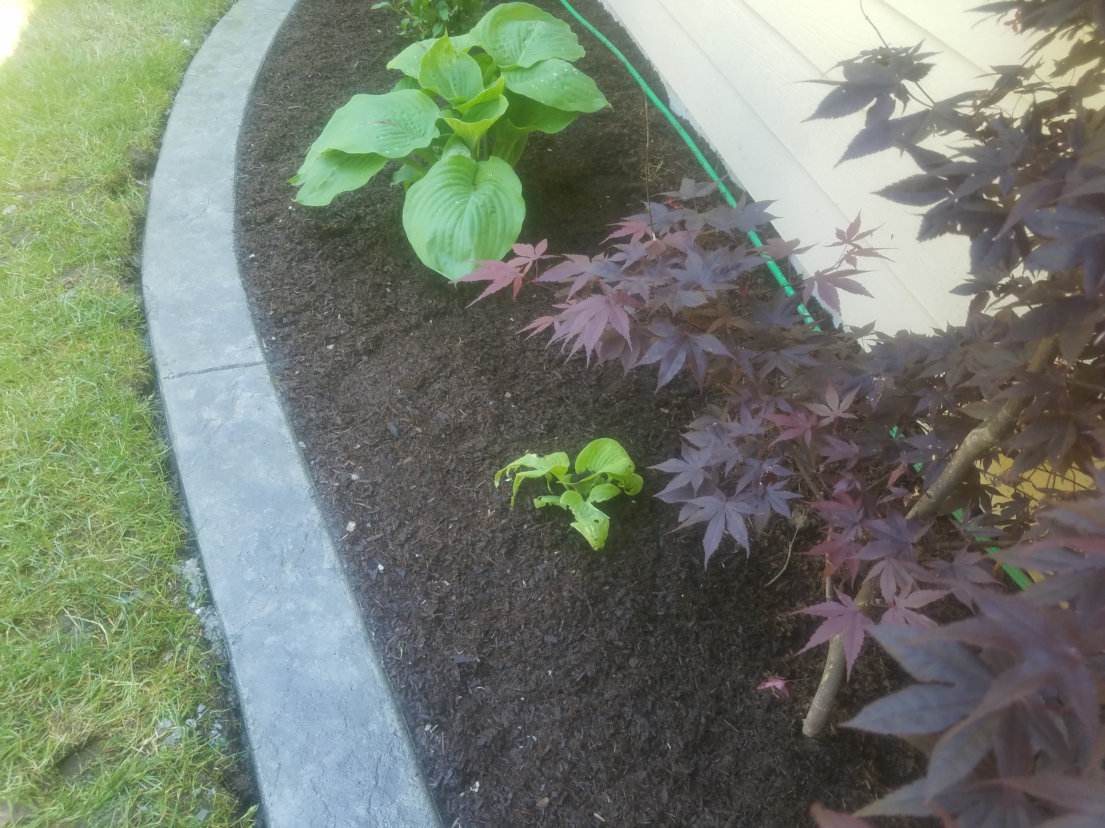 mulch, landscaping, hardscaping, concrete, garden, lawncare - 20180515_150315.jpg